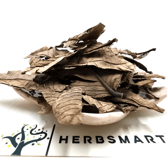 Guava Leaves | Psidium Guajava | Herbsmart Dried Herbs Herbsmart 113g 